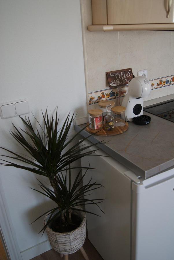 Apartamento Penas Blancas, Junto A Ruta De Los Cahorros, Monachil. エクステリア 写真